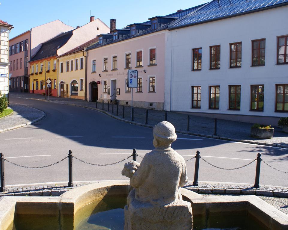 Penzion U Pasacka Nove Mesto na Morave Kültér fotó